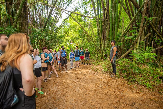Top Rated El Yunque Rainforest & Waterslide – SmallGroup Tour - What the $45 price really includes