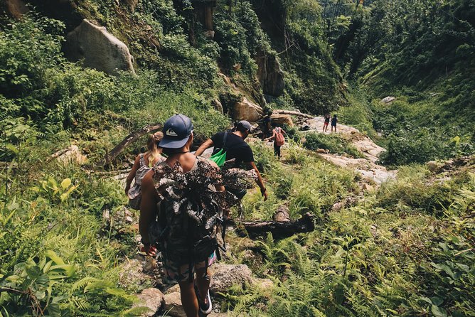 Top Rated El Yunque Rainforest & Waterslide – SmallGroup Tour - Crowds, timing, and changing start times