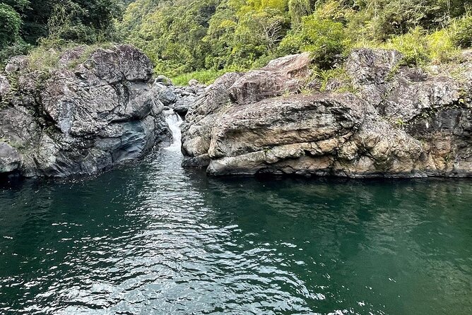 Toro Negro River Hike & Cliff Jumping Adventure; San Juan Pick Up - Who will enjoy this Toro Negro day most