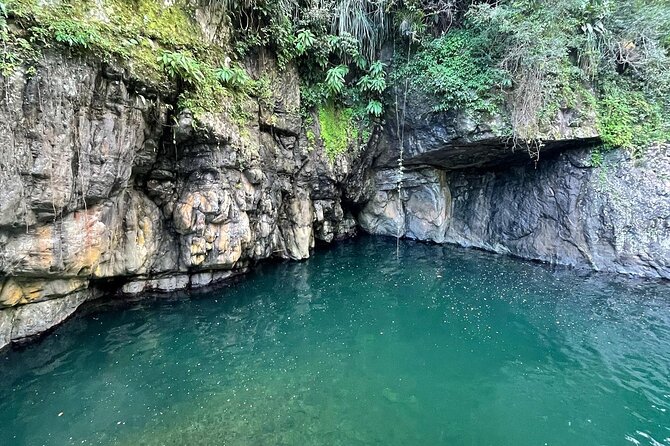 Toro Negro River Hike & Cliff Jumping Adventure; San Juan Pick Up - Toro Negro State Forest: where the hike becomes a river trek