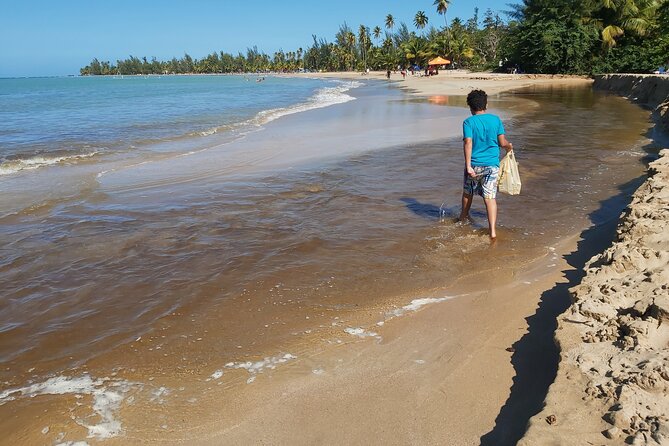 Transportation from San Juan to Ceiba ferry or airport - Using Ceiba Airport instead of the ferry