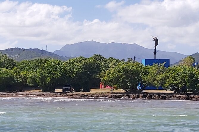 Transportation from San Juan to Ceiba ferry or airport - What you get for $160 per group