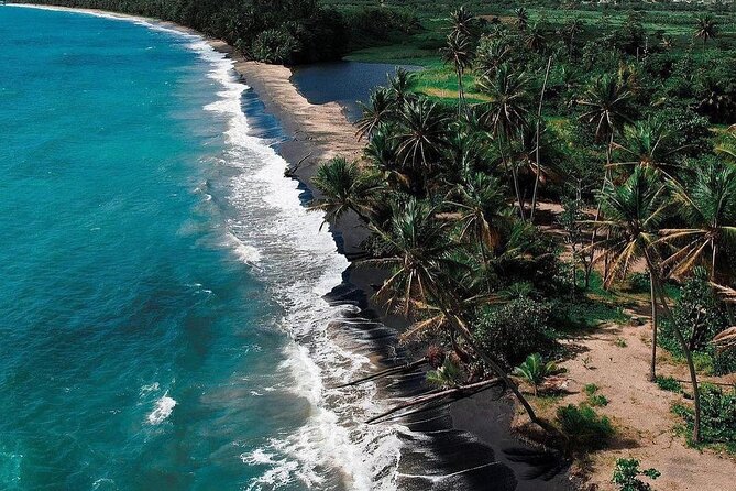 Transportation to Fajardo and Ceiba. Hotels and Airbnb vice versa One Way Trip. - What the ride itself is like