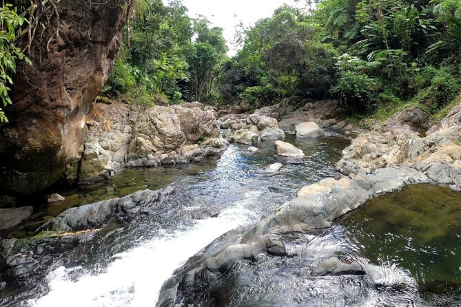 Trio Tour: El Yunque, Luquillo Beach, and Bio Bay Night Kayaking - Paddling into Laguna Grande after dark