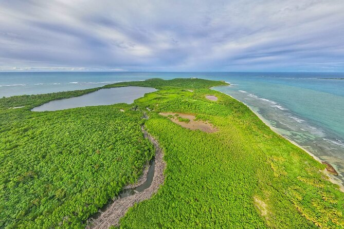 Trio Tour: El Yunque, Luquillo Beach, and Bio Bay Night Kayaking - Guides, transfers, and how the day works