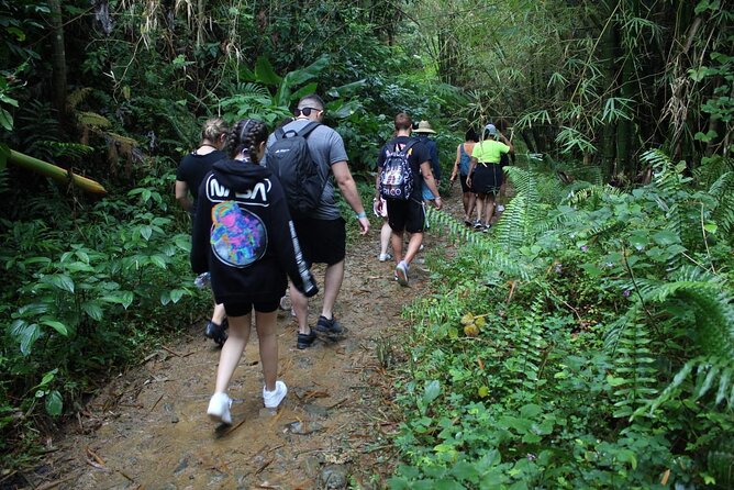Trio Tour: El Yunque, Luquillo Beach, and Bio Bay Night Kayaking - Who will enjoy this and who will not