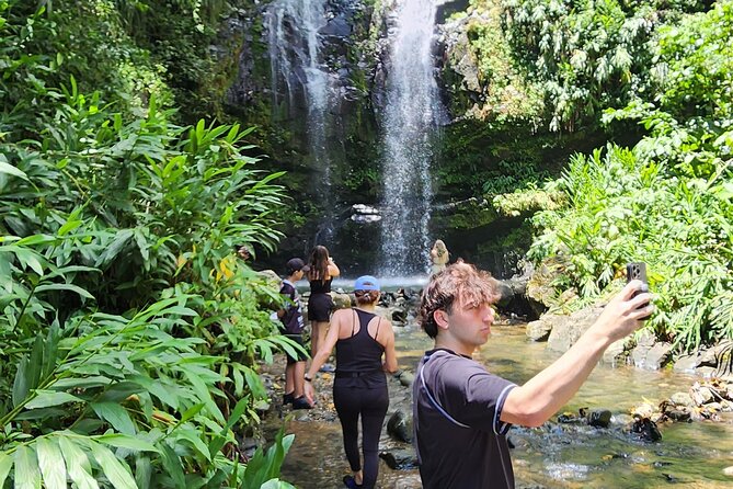 Tropical Rainforest Wonders Full Day Experience from San Juan - What the private price buys you