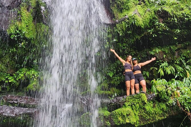 Tropical Rainforest Wonders Full Day Experience from San Juan - What to bring for a wet mountain day
