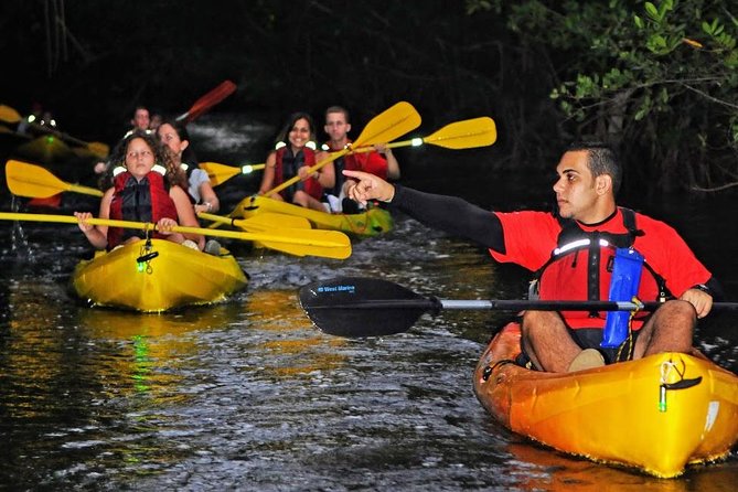 Two-in-One Day Trip: El Yunque and Bio Bay Tour with Transport - How much bioluminescence will you see?