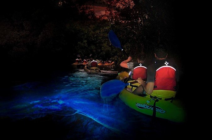 Two-in-One Day Trip: El Yunque and Bio Bay Tour with Transport - Safety is part of the experience