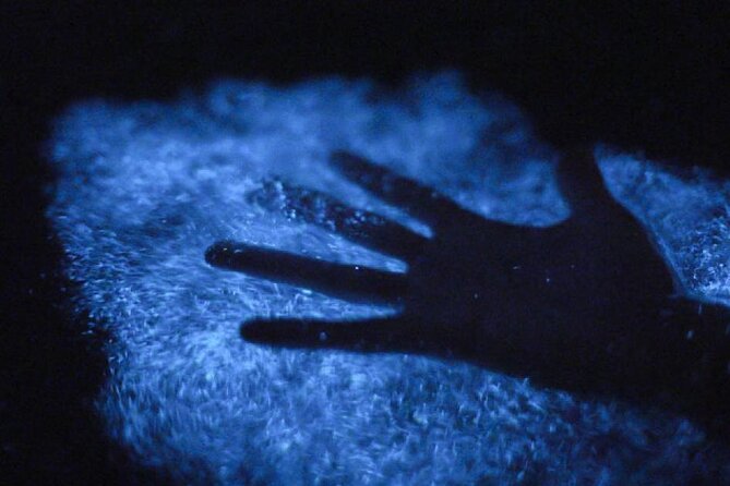 Unforgettable One Day Bioluminescent Kayak Adventure in Vieques - Making the ferry day work