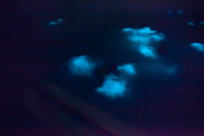 Unforgettable One Day Bioluminescent Kayak Adventure in Vieques - On the water at Bahía Bioluminiscente