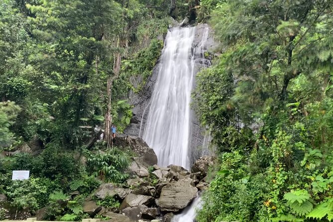 USDA El Yunque National Forest and Luquillo Beach Tour - A rainforest escape that fits neatly into one day