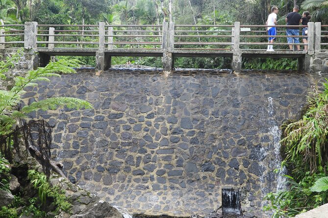 USDA El Yunque National Forest and Luquillo Beach Tour - Puente Roto: the active part of the morning