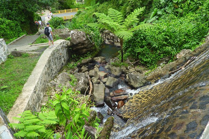 USDA El Yunque National Forest and Luquillo Beach Tour - Luquillo Beach and the kiosks: two hours to set your own pace