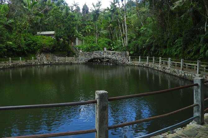 USDA El Yunque National Forest and Luquillo Beach Tour - Who will enjoy this tour most