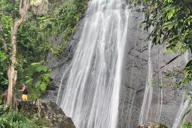 USDA El Yunque National Forest and Luquillo Beach Tour - La Coca Falls: a quick stop with real visual impact