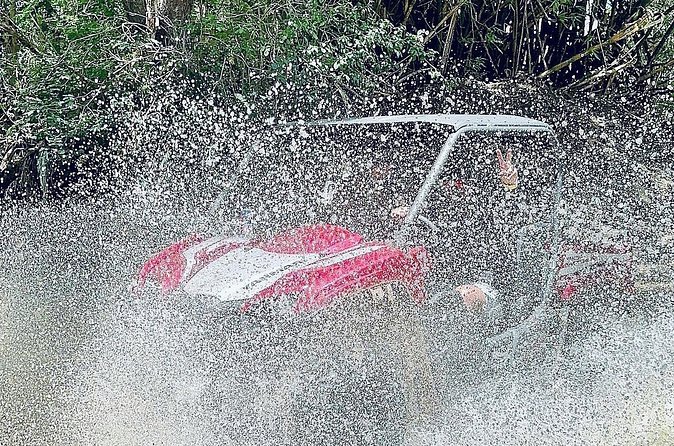 UTV adventure in Naguabo Puerto Rico 50 minutes trip 80 acres - Is $100 a Fair Price?