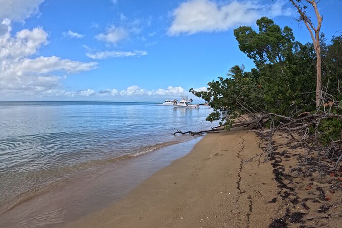 Vieques All-Inclusive: Swim with Turtles & Enjoy Pristine Beaches - Starting early at Fajardo Marina