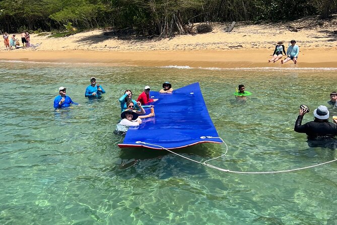 Vieques All-Inclusive: Swim with Turtles & Enjoy Pristine Beaches - First water stop: coral, fish, and the turtle search