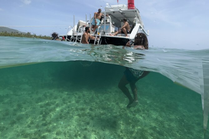 Vieques All-Inclusive: Swim with Turtles & Enjoy Pristine Beaches - The included deli buffet gives the day structure