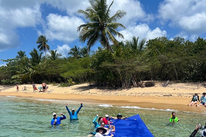 Vieques All-Inclusive: Swim with Turtles & Enjoy Pristine Beaches - Second stop: beach time and a slower pace
