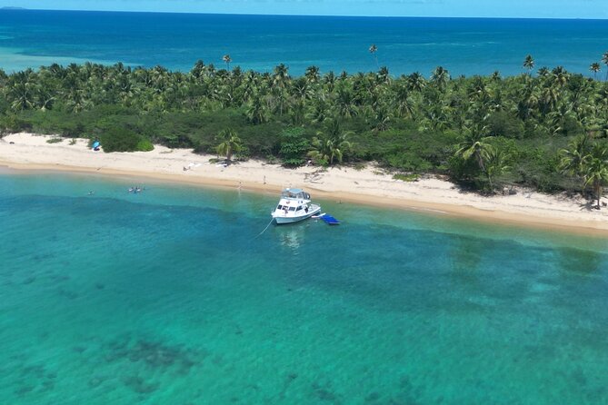 Vieques All-Inclusive: Swim with Turtles & Enjoy Pristine Beaches - Tropical drinks after the water