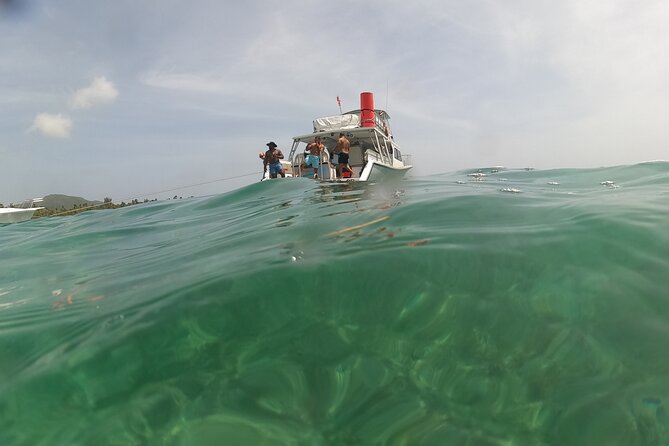 Vieques All-Inclusive: Swim with Turtles & Enjoy Pristine Beaches - Route changes, weather, and the minimum number