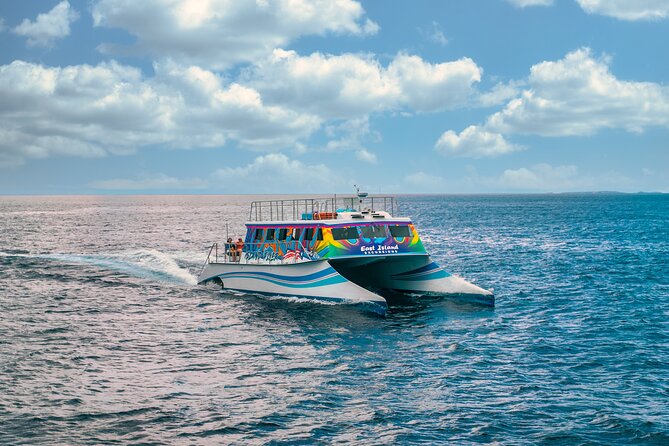 Vieques: Beach and Snorkeling Tour by Catamaran from Fajardo - Leaving Fajardo with El Yunque behind you
