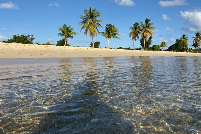 Vieques Bio Bay Tour and Beach Day Trip from San Juan by Ferry - Ceiba Ferry Terminal and the crossing to Vieques