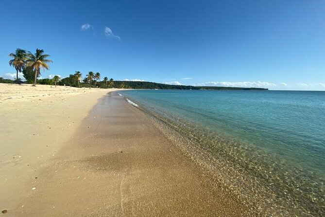 Vieques Bio Bay Tour and Beach Day Trip from San Juan by Ferry - What the $230 price really covers