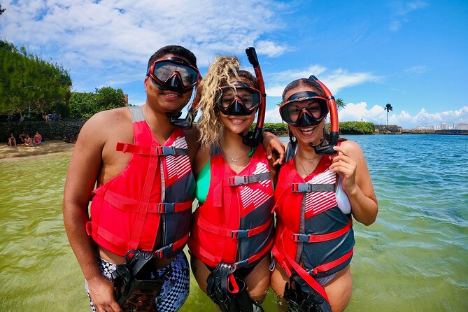 VIP San Juan: Snorkeling Tour with Turtles with Free Videos - The marine life you are most likely to remember