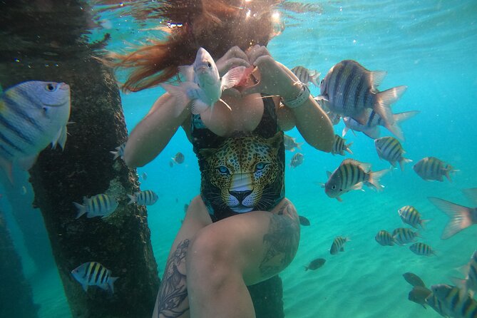 VIP San Juan: Snorkeling Tour with Turtles with Free Videos - Timing, weather, and cancellation choices