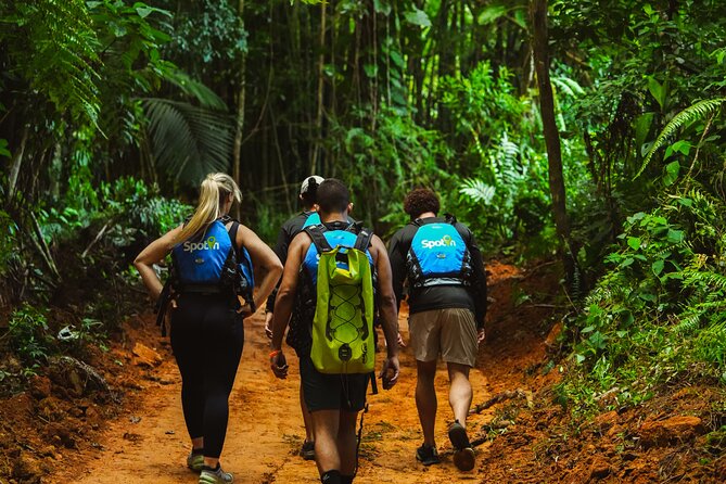 VIP Small Group El Yunque Rainforest Adventure - What the $48 price really buys you