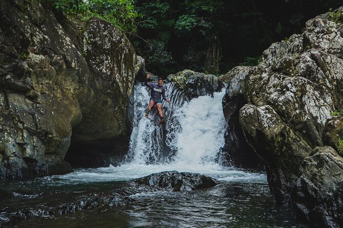 VIP Small Group El Yunque Rainforest Adventure - Why the small group changes the day