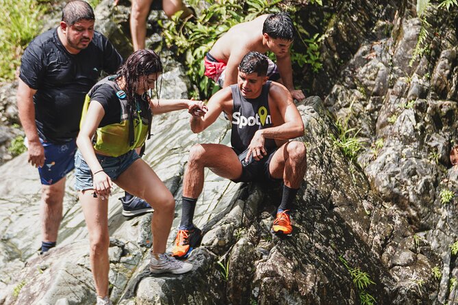 VIP Small Group El Yunque Rainforest Adventure - The local guide makes the forest easier to read