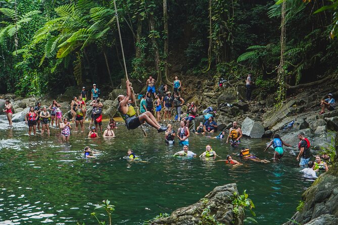 VIP Small Group El Yunque Rainforest Adventure - Meeting at Norte Shopping Center