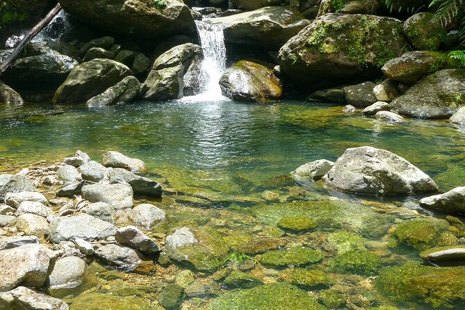 Waterfall Hike in Remote Area of El Yunque Rainforest; San Juan - Natural pools and waterfall time