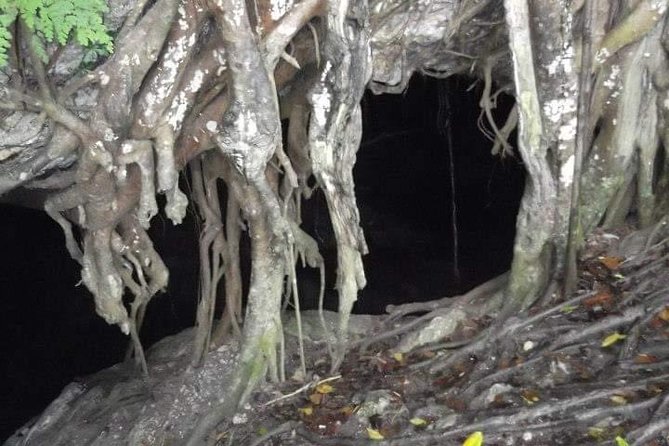 Window Cave Walking Tour from San Juan - The window view is the clear highlight
