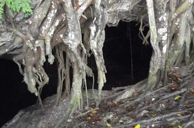 Window Cave Walking Tour from San Juan - Is $127 a fair price?