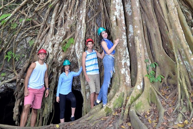 Window Cave Walking Tour from San Juan - A short hike with a steep section