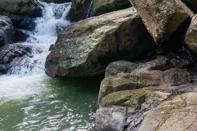 Yunque & Piñones Tour Hike Eat & Adventure with a Local; San Juan - From mountain water to Piñones beaches