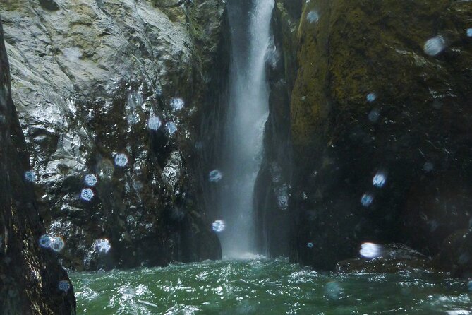 Yunque & Piñones Tour Hike Eat & Adventure with a Local; San Juan - Guides who shape the experience