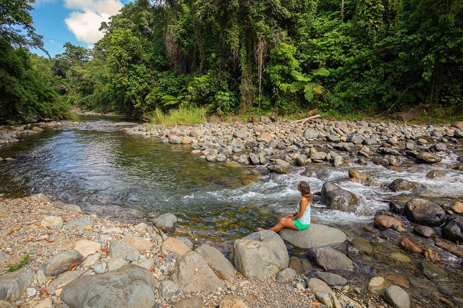 Yunque Rainforest River Rope Swing with Waterslide and Beach Tour - A full day of water, forest, and beach