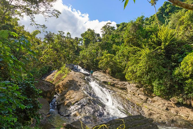 Yunque Rainforest River Rope Swing with Waterslide and Beach Tour - Who will enjoy this outing most