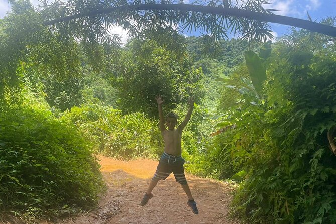 Yunque Rainforest Tour in Puerto Rico - A good fit for families and active visitors