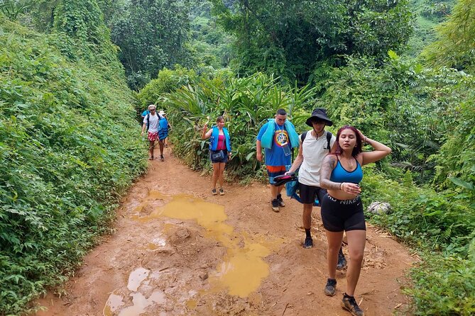 Yunque Rainforest Tour in Puerto Rico - How the $69 price holds up