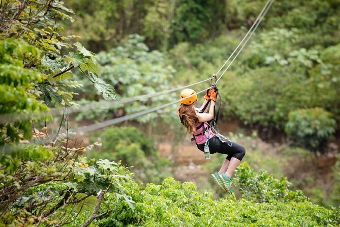 Zipline Adventure Tour - Eight ziplines with changing speed and height