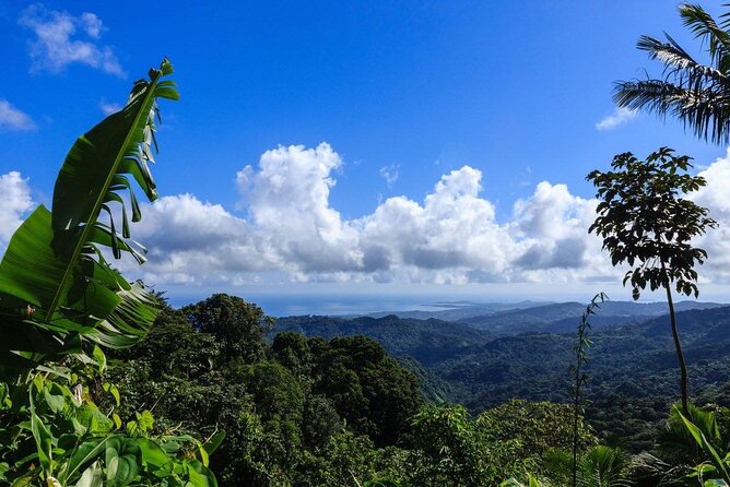 Zipline Canopy Tour with Transport from San Juan - Who will enjoy this most