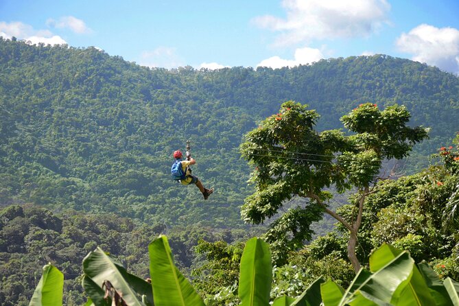 Ziplining at the Rainforest in Puerto Rico - Key points to know before you book